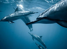 KAIYUNAPP：在指尖跃动的生产力之光